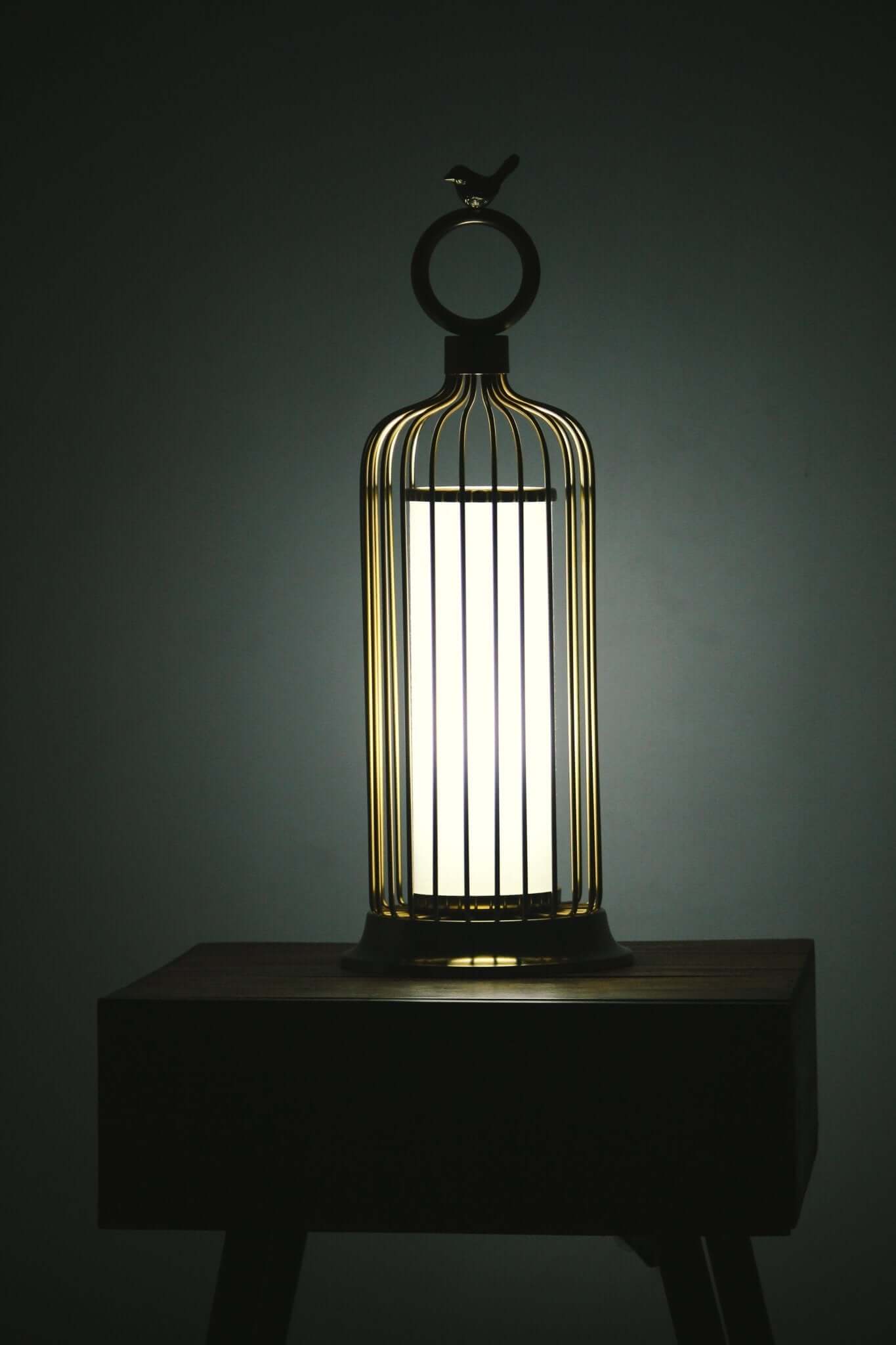 Birdcage - Inspired Table Lamp - The Rookh