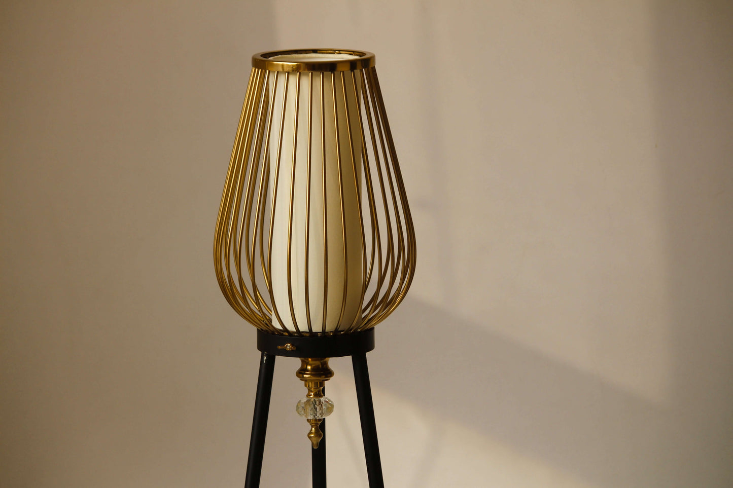 Bird Cage Floor Lamp