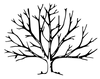 The Rookh